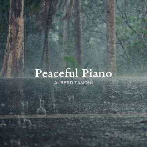 收听Alberd Tanoni的Peaceful Piano歌词歌曲
