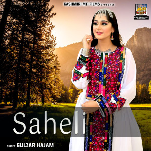 Gulzar Hajam的专辑Saheli