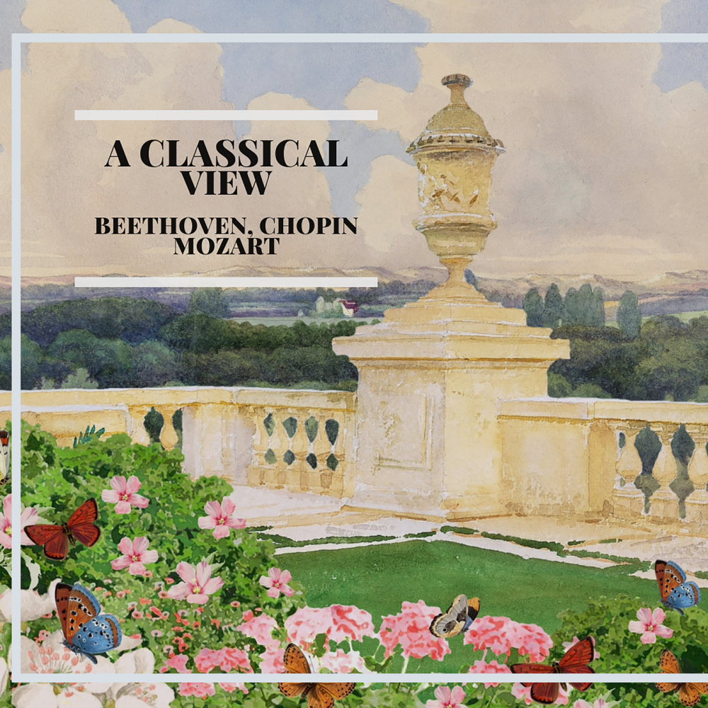Mozart: Cassation in B-Flat Major, K. 99: VII. Allegro - Andante - Allegro - Andante - Marche