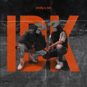 Listen to IDK song with lyrics from Seroky
