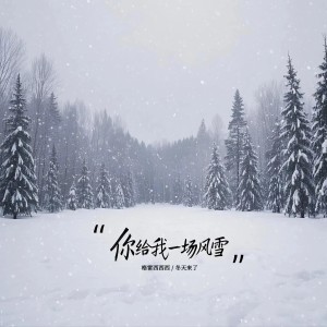 Listen to 你给我一场风雪 (DJ版) song with lyrics from 格雷西西西