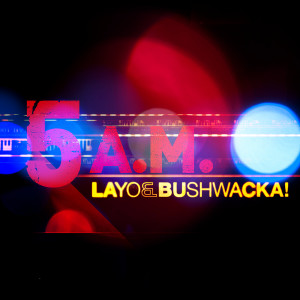 Layo & Bushwacka!的專輯5AM