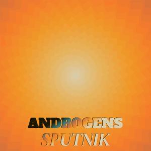 Various Artists的專輯Androgens Sputnik