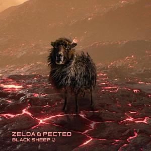 Dengarkan Black Sheep lagu dari Pected dengan lirik