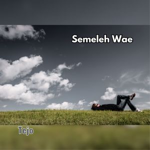 Dengarkan lagu Semeleh Wae nyanyian Tejo dengan lirik
