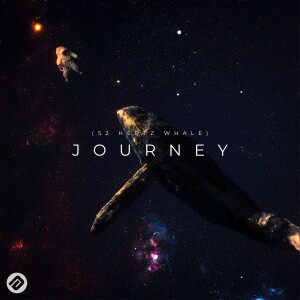 Listen to Journey (52 Hertz Whale) song with lyrics from Athostvz