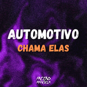 收聽DJ NINOW 013的Automotivo Chama Elas (Explicit)歌詞歌曲