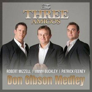 อัลบัม Don Gibson Medley ศิลปิน The Three Amigos