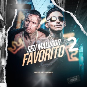 ดาวน์โหลดและฟังเพลง Seu Malvado Favorito 2 (Explicit) พร้อมเนื้อเพลงจาก RAPPER SLK