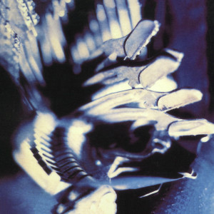 收聽Piano Magic的(Music Won't Save You from Anything But) Silence歌詞歌曲