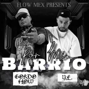 收聽Elgordoflow的En mi barrio (feat. Young-E) (Explicit)歌詞歌曲