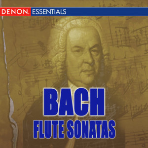 收聽Milos Jurkovic的Sonata for Flute in E Major, BWV 1035: I. Adagio ma non tanto歌詞歌曲