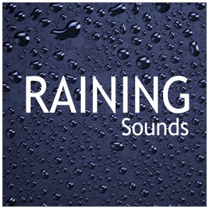 ดาวน์โหลดและฟังเพลง Good Night พร้อมเนื้อเพลงจาก Rain Sounds