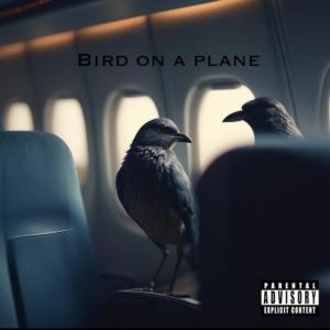 收聽Timo Makaveli的Bird On A Plane (Explicit)歌詞歌曲