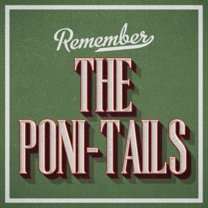 ดาวน์โหลดและฟังเพลง Still In Your Teens พร้อมเนื้อเพลงจาก Poni-Tails