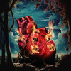 default album img