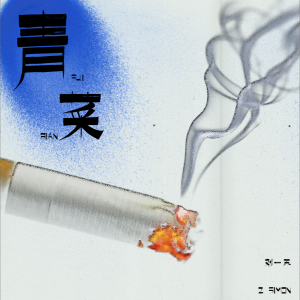 无法拒绝汉堡的专辑青菜