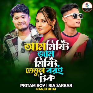 Listen to Am Misti Jam Misti Tatul Boro Tok song with lyrics from Pritam Roy