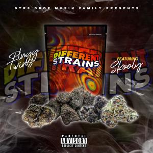 Plugg Twinz的專輯Different Strains (feat. Skooly) (Explicit)