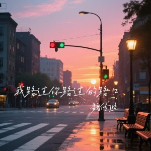 魏传迪的专辑我路过你路过的路口