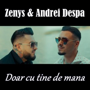 Listen to Doar cu tine de mana song with lyrics from Andrei Despa