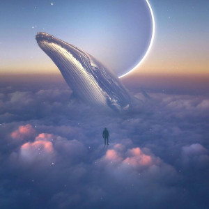 Listen to 鲸 (完整版) song with lyrics from DInxm Robinson