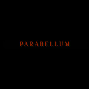 Album PARABELLUM (Explicit) from Chainy