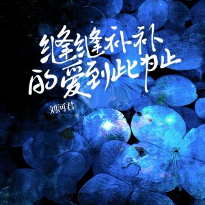 Album 缝缝补补的爱到此为止 from 刘河君