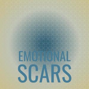 Album Emotional Scars from Various