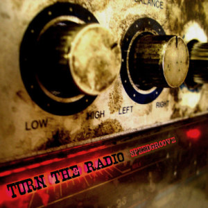 收聽Speedgroove的Turn the Radio (Pako C A.K.A. Jk Remix)歌詞歌曲