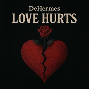 收聽Dehermes的Love Hurts歌詞歌曲