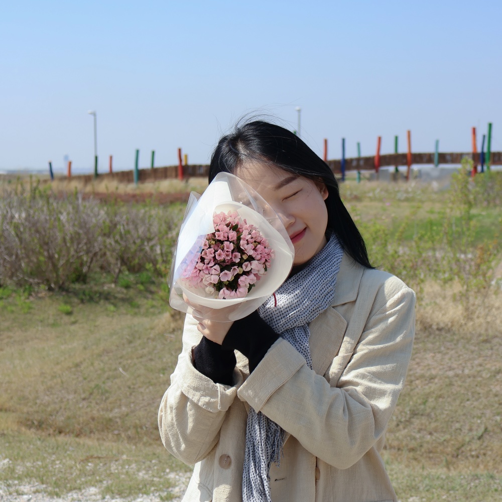 아녹