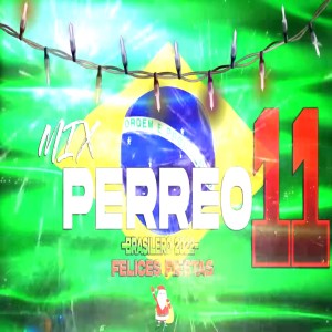 อัลบัม MIX PERREO BRASILEÑO VOL 11 ศิลปิน Dj Perreo Mix