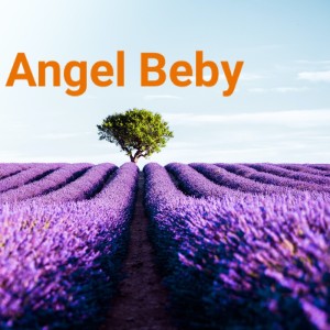 收聽ARI FAOT的Angel Beby (Remix)歌詞歌曲