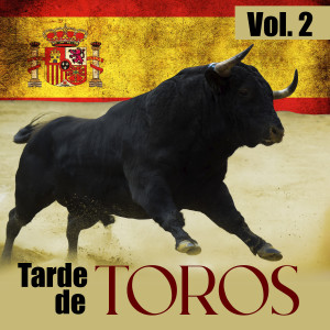 ดาวน์โหลดและฟังเพลง Alma Torera พร้อมเนื้อเพลงจาก Mariachi Vargas