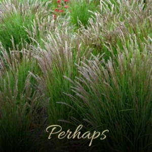 Listen to Perhaps song with lyrics from Charlie Parker