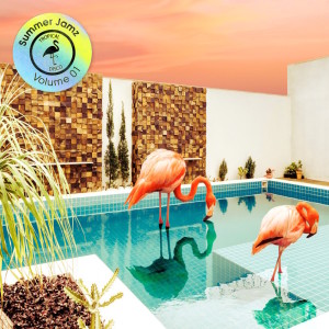 Listen to Tropical Feelings song with lyrics from Rafael Yapudjian
