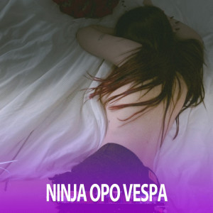 Album DJ NINJA OPO VESPA - Nella Kharisma FULL BASS oleh DJinaja