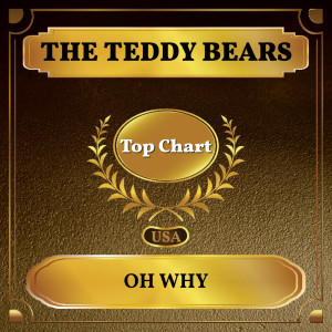 ดาวน์โหลดและฟังเพลง Oh Why พร้อมเนื้อเพลงจาก Teddy Bears
