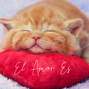 Listen to El Amor Es Asi song with lyrics from Osvaldo Ayala
