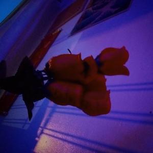 Album Mushroom Tea (feat. Zeeky Beats) from BodegaBlunts