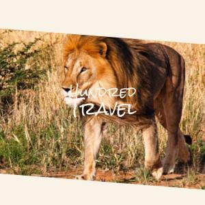 Various Artists的專輯Hundred Travel