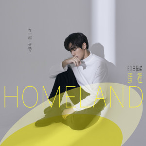 อัลบัม 蛋里 ศิลปิน 王振祖