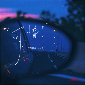 Album 可惜了 from 豆芽鱼