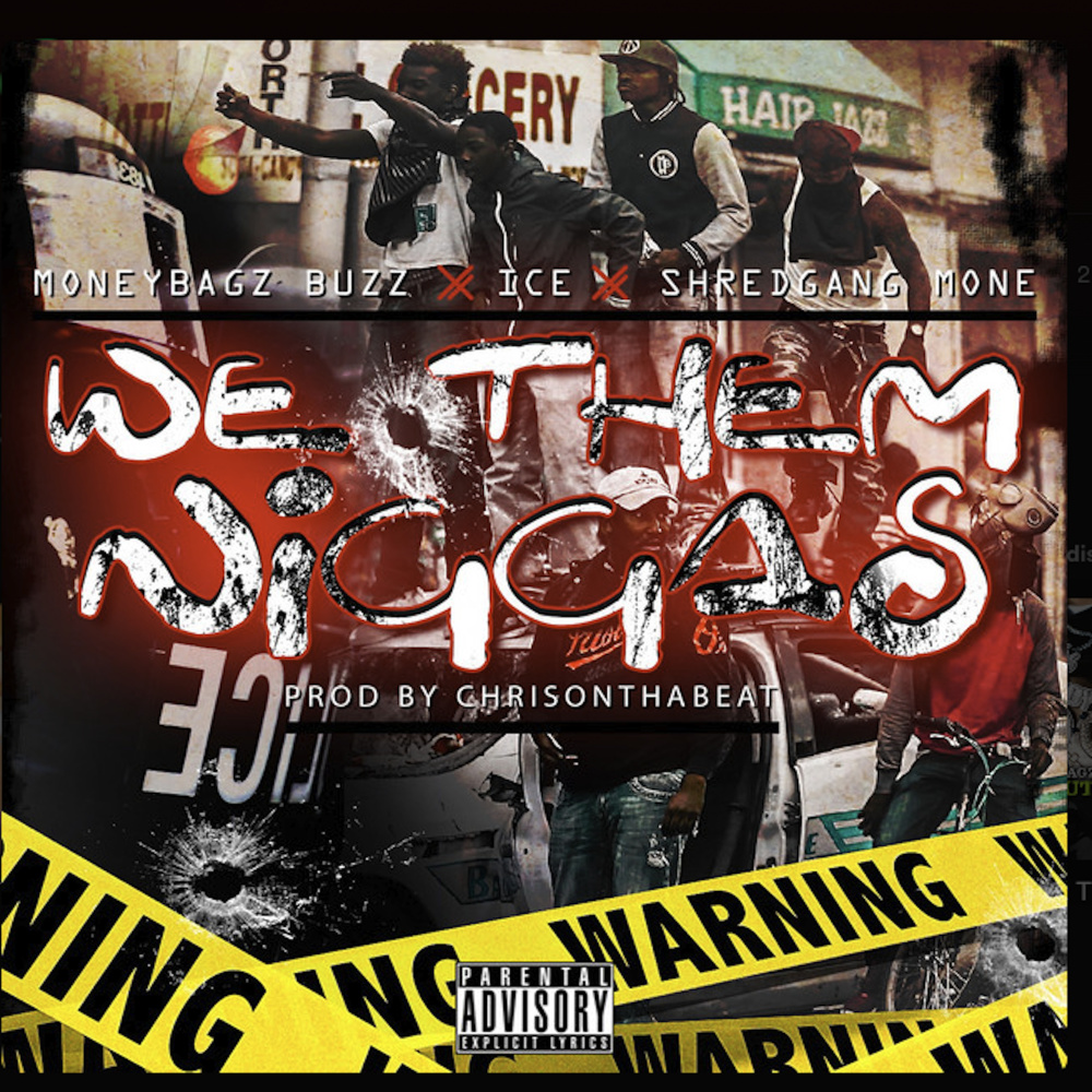 We Them Niggas (feat. Ice & Shredgang Mone) (Explicit)