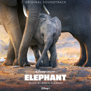 ดาวน์โหลดและฟังเพลง Bones (From "Elephant"/Score) พร้อมเนื้อเพลงจาก Ramin Djawadi