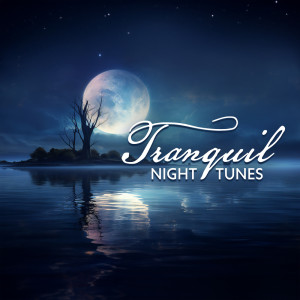 Peaceful Sleep Music Collection的專輯Tranquil Night Tunes (Relaxing Twilight Harmonies, Quiet Moonlit Music)