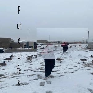 Listen to Pure Life song with lyrics from Chusha
