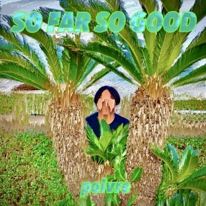 Listen to Party Gang (feat. MOUNTAIN B & KAICHOO) song with lyrics from poivre