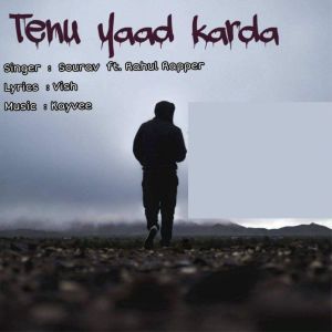 Listen to Tenu Yaad Karda song with lyrics from RAHUL RAPPER